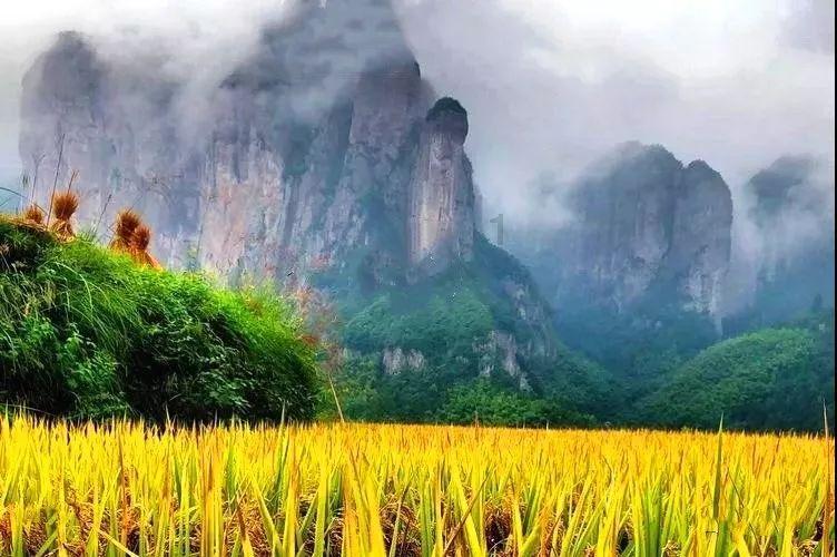 探索冷知识,尽在五十岁女人优雅气质网名分享平台!